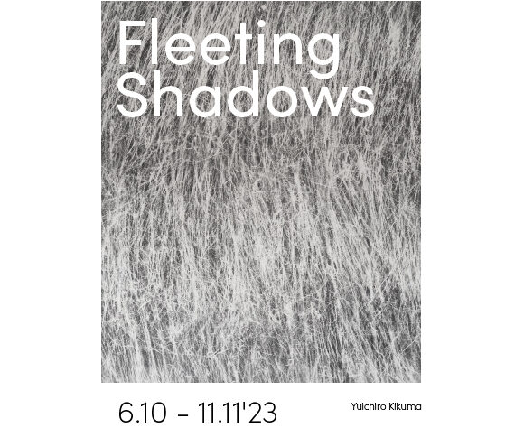 Fleeting Shadows